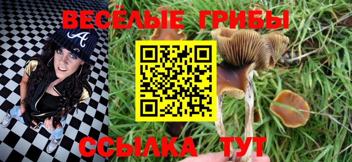 Псилоцибиновые грибы Psilocybine cubensis  Вход с VPN  Большой Камень  Галлюциногенные грибы GOLDEN TEACHER 