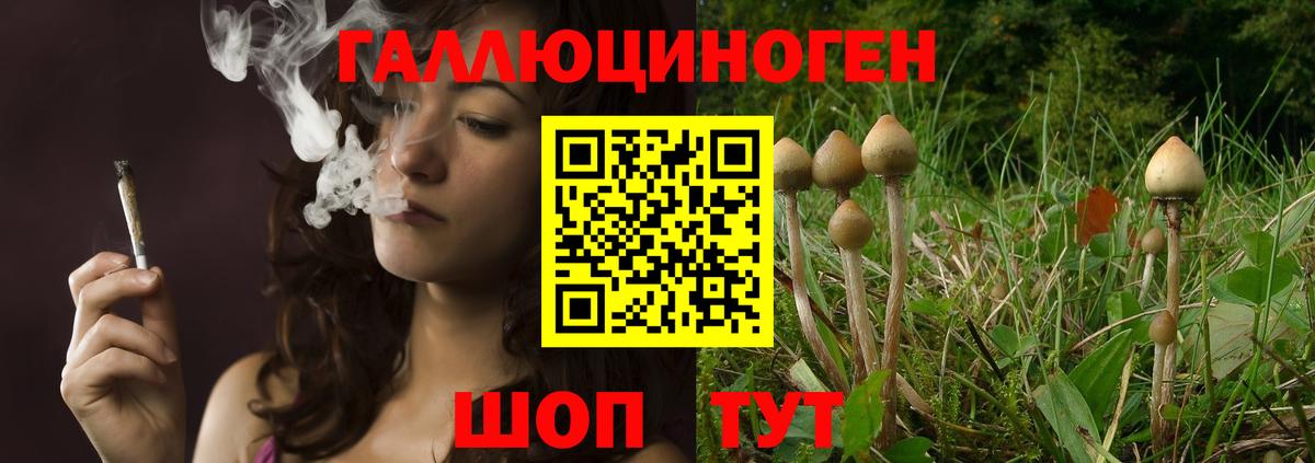 Псилоцибиновые грибы GOLDEN TEACHER Большой Камень