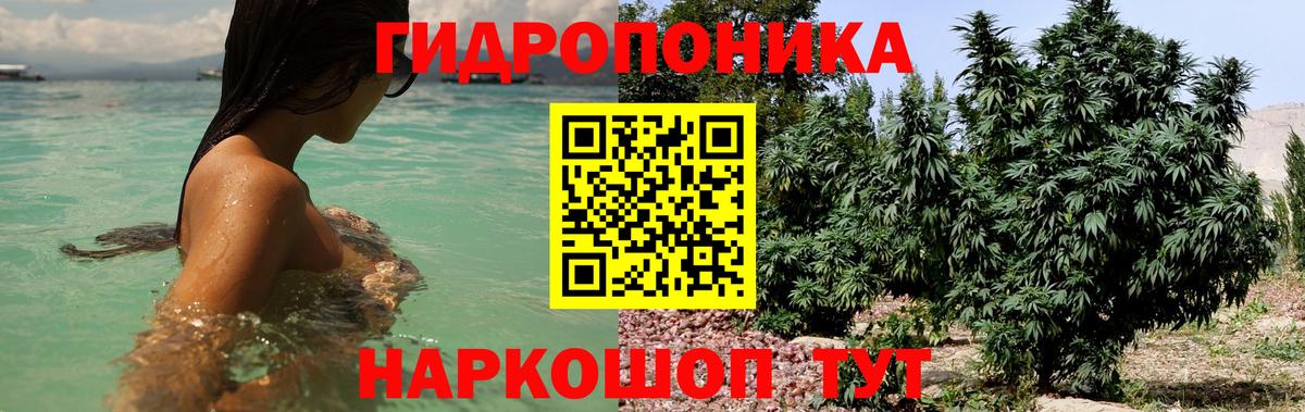 Бошки марихуана семена Большой Камень